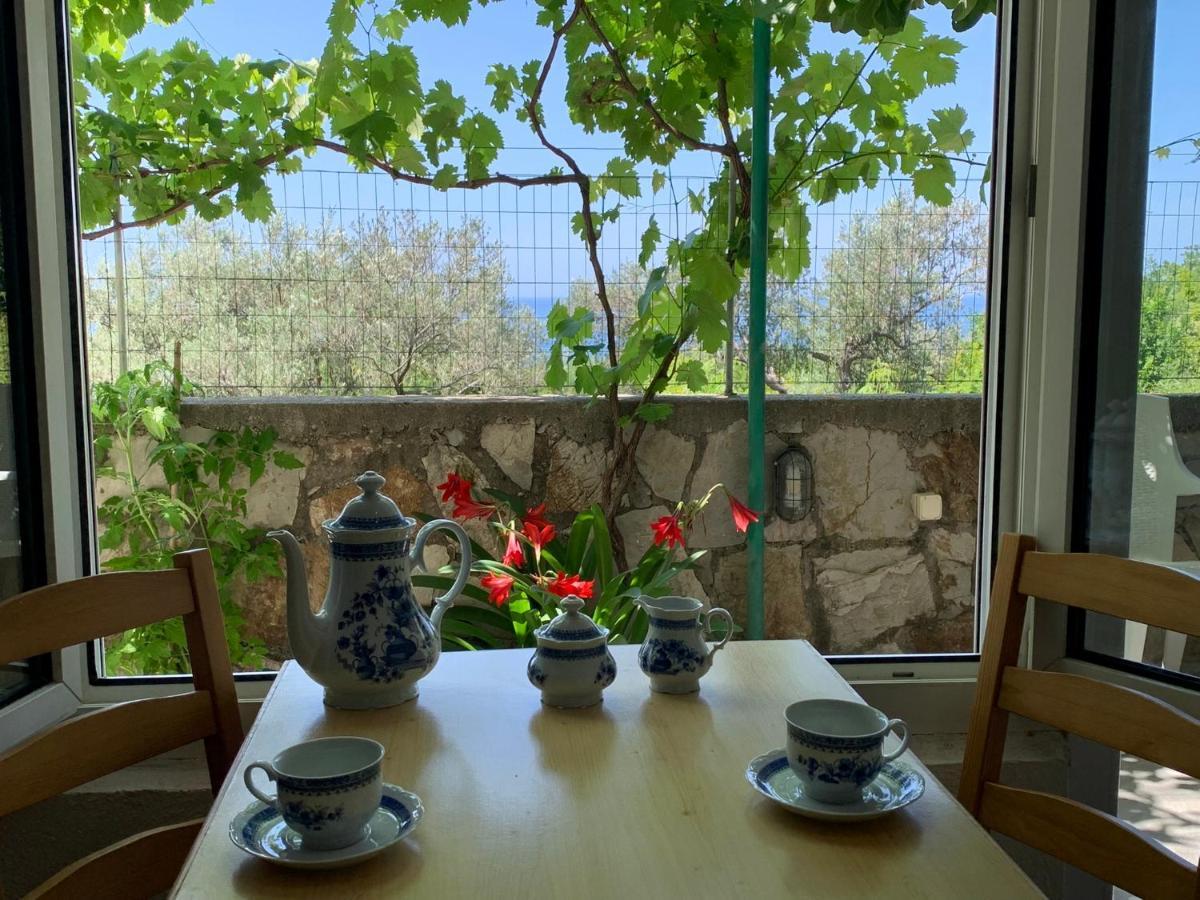 Apartments Mirian Петровац Экстерьер фото